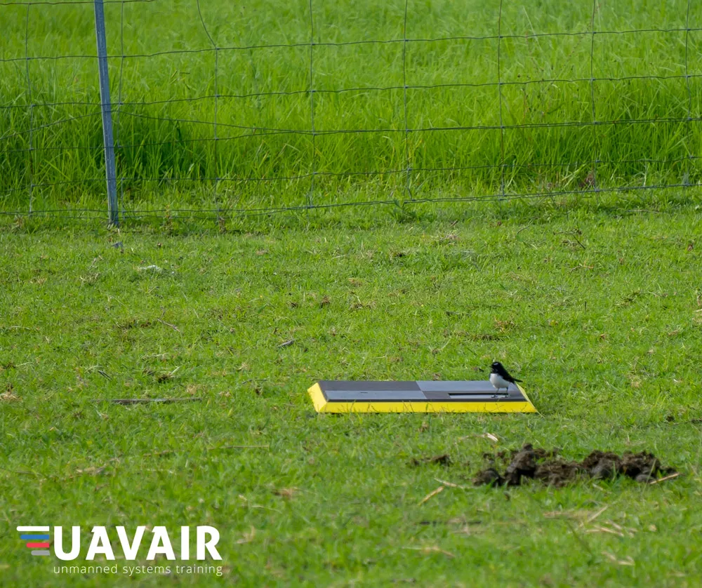 bird sitting on the AeroPoints ground control points