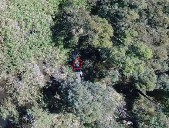 AeroPoint GCP obscured by vegetation