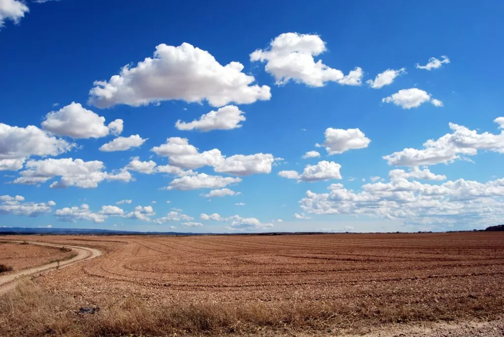 open field with blue skies